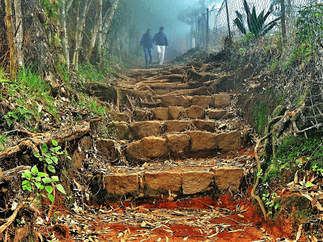 Trekking