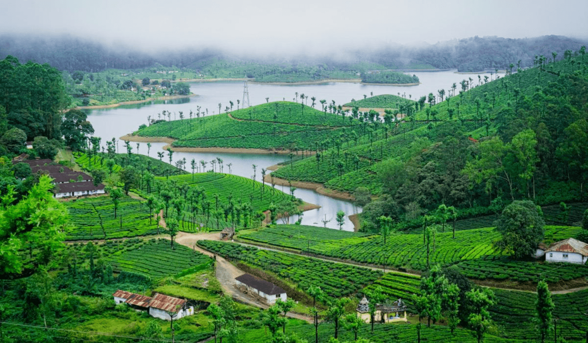 Valparai